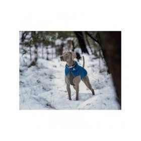 Cappotto per Cani Red Dingo Puffer Turchese 25 cm