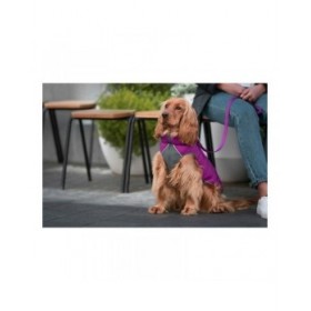 Cappotto per Cani Red Dingo Puffer Rosa/Viola 35 cm