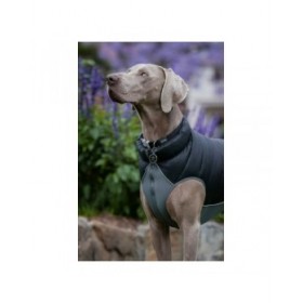 Cappotto per Cani Red Dingo Puffer Nero/Grigio 40 cm