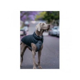 Cappotto per Cani Red Dingo Puffer 50 cm Nero/Grigio