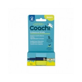 Fischietto Coachi Azzurro