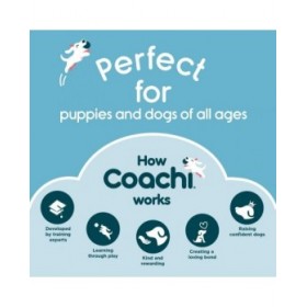 Giocattolo da allenamento Coachi TRAINING DUMMY Azzurro