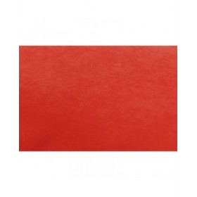 Letto per Cani Gloria Altea Rosso 76 x 56 cm Rettangolare