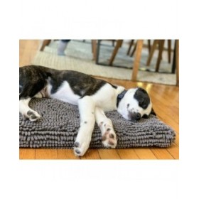 Cuccia per Cani Dog Gone Smart Grigio 48 x 61 cm