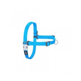 Imbracatura per Cani Red Dingo 36-50 cm Turchese S