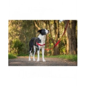 Imbracatura per Cani Red Dingo 84-119 cm Rosso XL