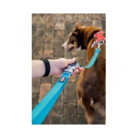 Guinzaglio per Cani Red Dingo Marrone