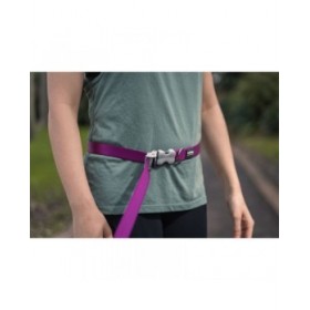 Guinzaglio per Cani Red Dingo Fucsia