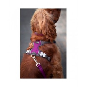 Imbracatura per Cani Red Dingo Dingo 38-58 cm 46-63 cm Viola M