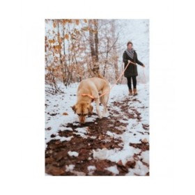 Collare per Cani Hunter Convenience 47-55 cm L Arancio