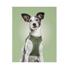 Imbracatura per Cani Gloria 24,5-26 cm Verde 18-20 cm