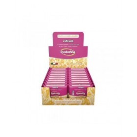 Salviettine Inumidite per Animali Domestici Inodorina Refresh 24 Unità