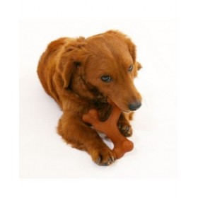 Giocattoli per cani Nylabone 20 Marrone animali