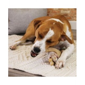 Giocattoli per cani Nylabone Pollo 11 Crema animali
