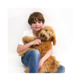 Giocattolo da mordere per cani Nylabone Marrone Pollo Artificiale M