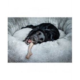 Giocattolo da mordere per cani Nylabone Marrone Burro Di Arachidi XL