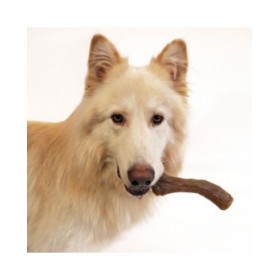 Giocattolo da mordere per cani Nylabone Marrone Burro Di Arachidi XL