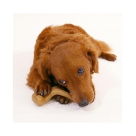 Giocattoli per cani Nylabone Pollo 20 Crema animali