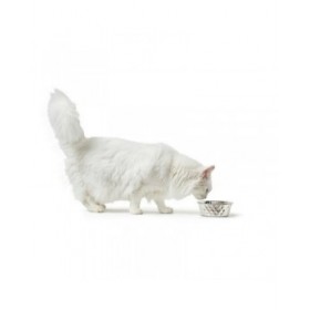 Ciotola per cani Hunter Silicone Acciaio inossidabile 4,1 L