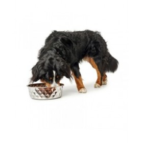 Ciotola per cani Hunter Silicone Acciaio inossidabile 550 ml