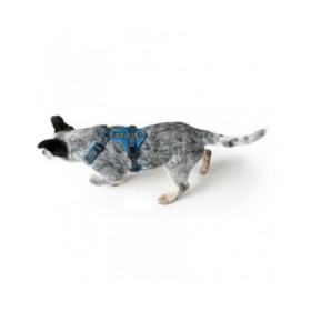 Imbracatura per Cani Hunter Maldon Up Azzurro 31-49 cm
