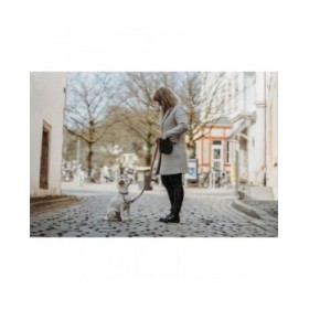 Collare per Cani Hunter Inari Beige 40-55 cm L