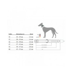 Collare per Cani Hunter Aalborg Marrone L 45-55 cm