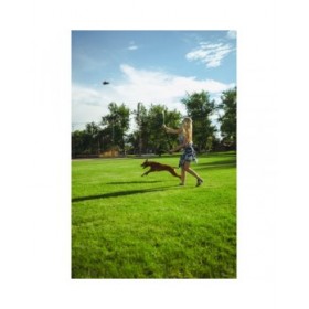 Giocattoli per cani Hunter