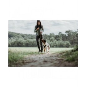 Guinzaglio per Cani Hunter Marrone 2 m Regolabile Pelle