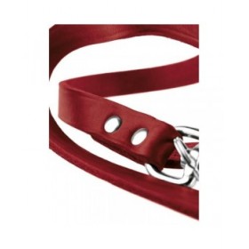 Guinzaglio per Cani Hunter Rosso 2 m Regolabile Pelle