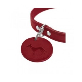 Collare per Cani Hunter Aalborg Rosso M 38-47 cm
