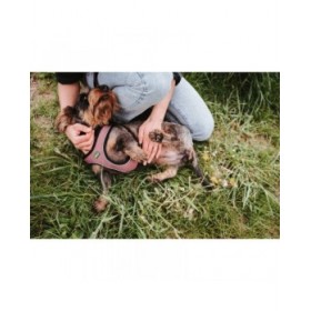 Imbracatura per Cani Hunter Comfort Rosa XS 35-37 cm
