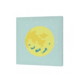 Tela HappyFriday Mr Box Flying boy  Multicolore 27 x 27 cm