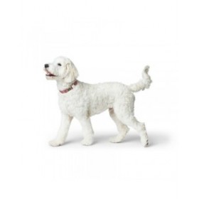 Collare per Cani Hunter Inari Rosso XL 45-65 cm