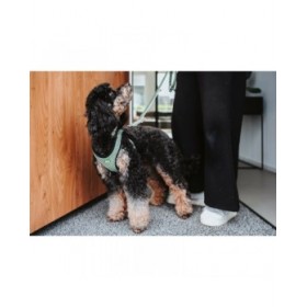 Imbracatura per Cani Hunter Comfort Verde M/L 58-63 cm