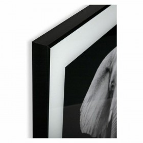 Quadro Versa S3403596 (2 x 50 x 50 cm)