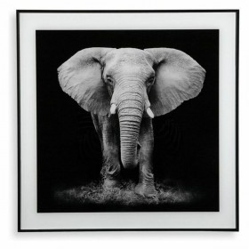 Quadro Versa S3403596 (2 x 50 x 50 cm)