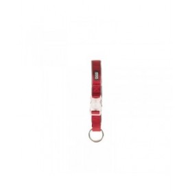 Collare per Cani Dog Gone Smart Rosso 20 Luce