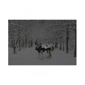 Cappotto per Cani Dog Gone Smart Nero 55 cm