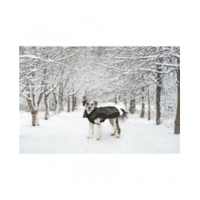 Cappotto per Cani Dog Gone Smart Nero 55 cm