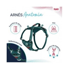 Imbracatura per Cani Company of Animals Turchese XS 20-32 cm