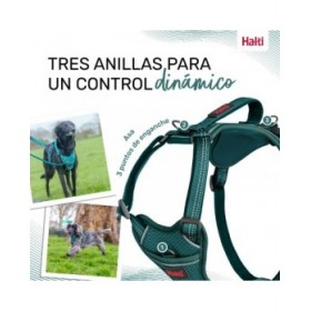 Imbracatura per Cani Company of Animals Turchese XS 20-32 cm