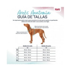 Imbracatura per Cani Company of Animals Turchese XL 50-78 cm
