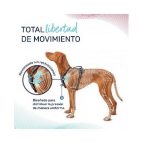Imbracatura per Cani Company of Animals Verde XS 20-32 cm