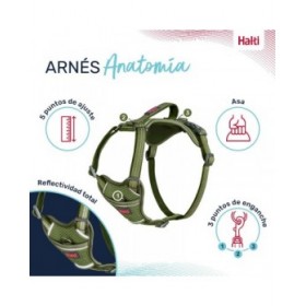 Imbracatura per Cani Company of Animals Verde XL 50-78 cm