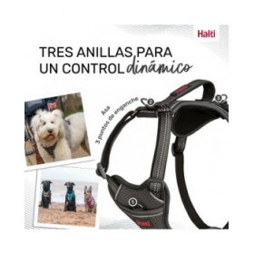 Imbracatura per Cani Company of Animals Grigio XL 50-78 cm