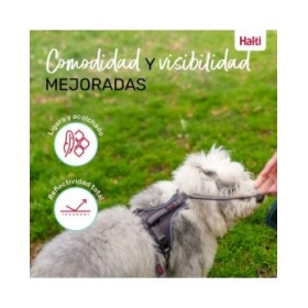 Imbracatura per Cani Company of Animals Grigio XL 50-78 cm