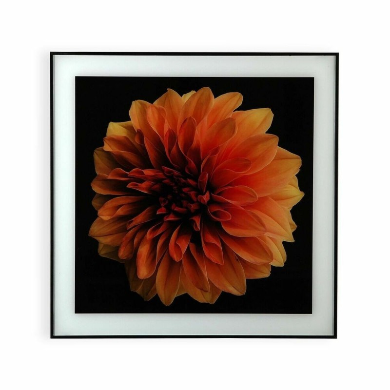 Quadro Versa S3407693 Fiore Cristallo polistirene (2 x 60 x 40 cm)