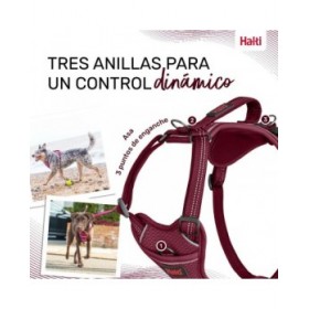 Imbracatura per Cani Company of Animals Bordeaux L 42-65 cm