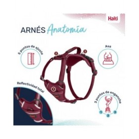 Imbracatura per Cani Company of Animals Bordeaux L 42-65 cm